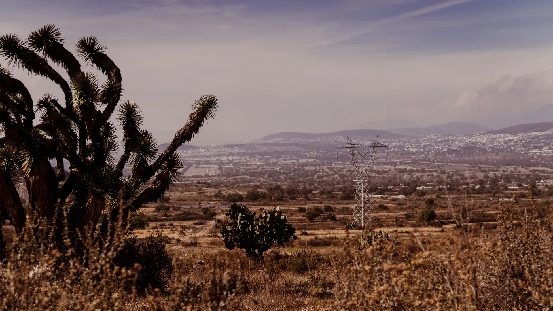 Serene landscape of San Juan Tizahuapan, Mexico, featuring cacti and electric tower under a cloudy sky