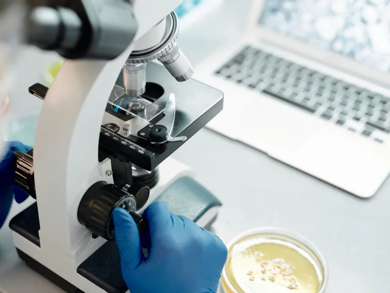 Researcher analyzing biological samples under a microscope in a laboratory